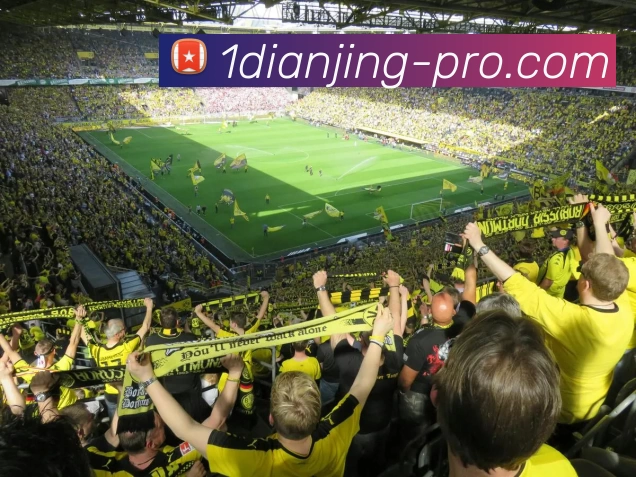 App Interface Preview