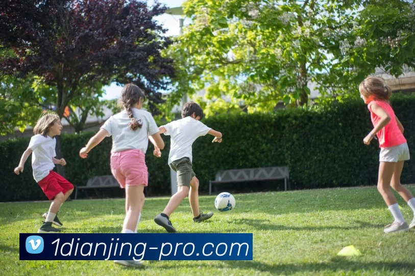 壹电竞平台APP 封面图